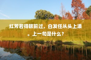 命运之轮下的持恒与机运，在变局中寻恒光