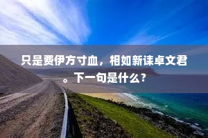 九曲池头。乍书囊镜槛，来伴轻鸥。的释义