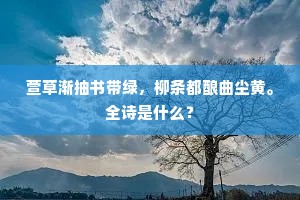 山色堕雕阑，奚光动朱网。的解释