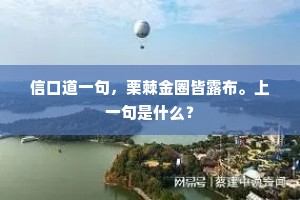 怀银纡紫的解释