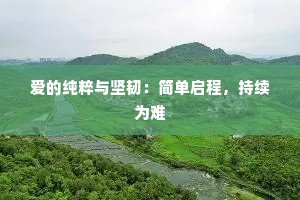 爱的纯粹与坚韧：简单启程，持续为难