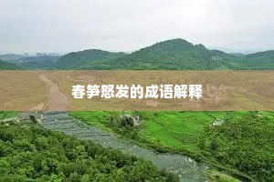 春笋怒发的成语解释
