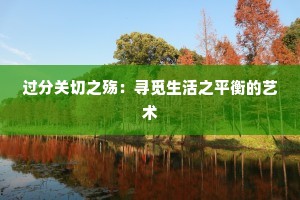 过分关切之殇：寻觅生活之平衡的艺术
