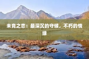 未竟之恋：最深沉的守候，不朽的情缘