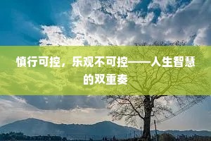 慎行可控，乐观不可控——人生智慧的双重奏