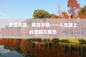 未经风霜，莫言冷暖——人生路上的理解与慈悲