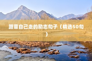 励志的梦想语录（精选40句）
