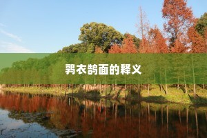 鹑衣鹄面的释义