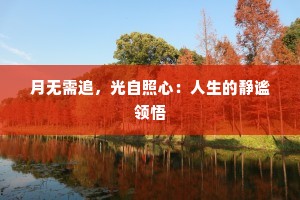 月无需追，光自照心：人生的静谧领悟