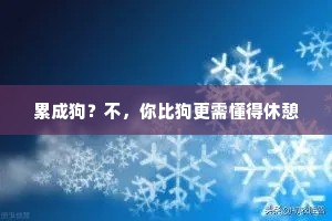 累成狗？不，你比狗更需懂得休憩