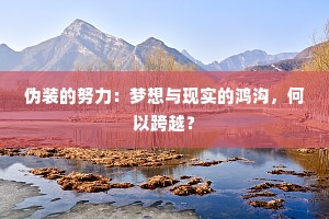 伪装的努力：梦想与现实的鸿沟，何以跨越？