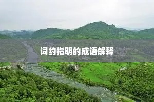词约指明的成语解释