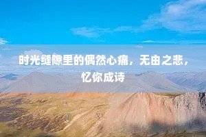 时光缝隙里的偶然心痛，无由之悲，忆你成诗