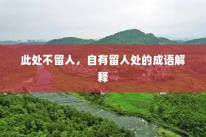 此处不留人，自有留人处的成语解释