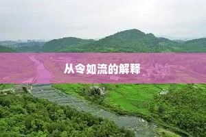 从令如流的解释