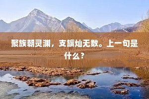 酒病又添些。只是无家。的意思及出处