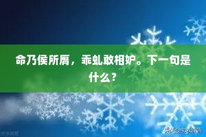 一琴一鹤一扁舟，南北东西更九州。出自哪首诗？