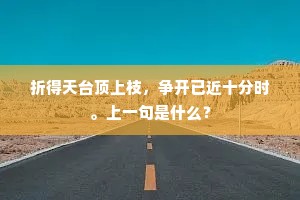 芳泽久娴苏蕙藻，彩霞分绚薛涛笺。的解释