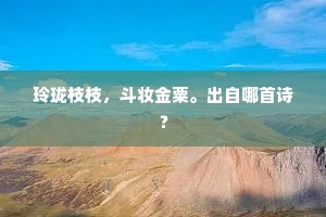 白袷经年卷，西来及早寒。的解释