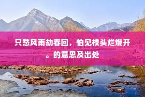 鹪鹩谋一饱，绕树看环飞。上一句是什么？