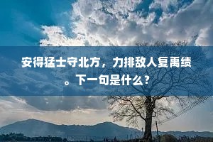 悲歌忽忆行藏计，为尔云霄愁佩环。出自哪首诗？