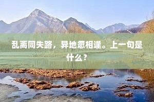 何穷对酒望，几处捲帘愁。的意思及出处