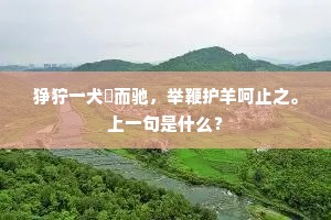 逆境欢歌，伟人的灵魂乐章