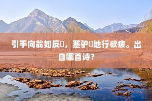 逆境之镜，气度定乾坤，宽宏克万难
