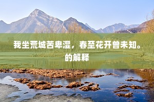 荒谬绝伦的成语解释
