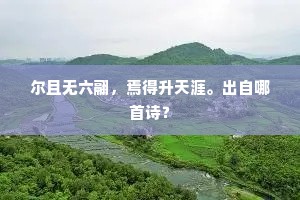 荒淫无道的解释