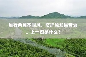 皇皇不可终日的解释
