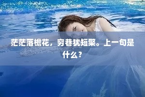 逆境中的冷静之光，松下幸之助的坚韧启示
