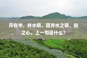 朝客偶知亲送药，野僧相保密持经。的释义