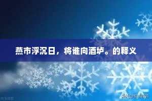 逆境铸辉煌，荣耀背后的荆棘之路
