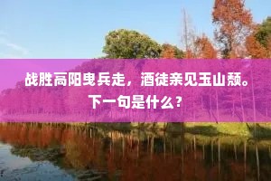 逆境之光，贝多芬的坚韧，铸就非凡人生