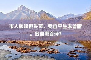 九叠屏高有标致，远公相约则吾从。出自哪首诗？