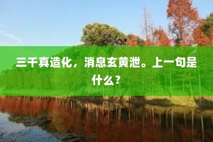 黄龙痛饮的解释