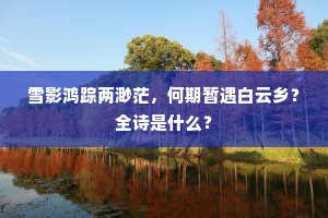 汝阳县长多清风，壶中有客当相送。上一句是什么？