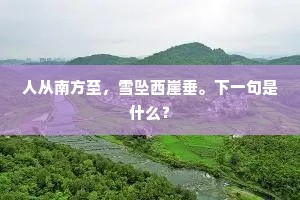 市灯明岸际，渔罟倚竿头。的意思及出处