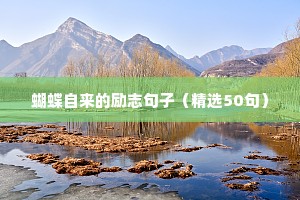 蝴蝶自来的励志句子（精选50句）