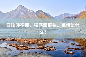 远寄千杯绿，多情两鬓丝。下一句是什么？