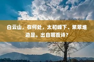 扁舟棹入水云乡，劫火初销迹半荒。全诗是什么？