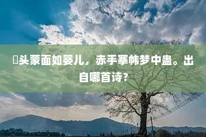 出尘心迹了无缨，三十年来四海名。上一句是什么？