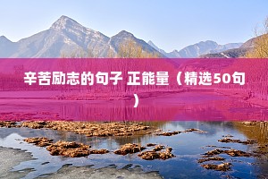 关于孤独的励志语录（精选8篇）