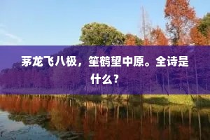 缁尘贾客担，黄竹女儿箱。的解释