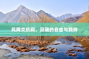 风网交织间，灵魂的自由与羁绊