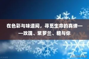 在色彩与味道间，寻觅生命的真谛——玫瑰、紫罗兰、糖与你