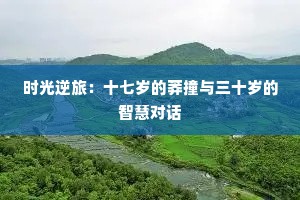 时光逆旅：十七岁的莽撞与三十岁的智慧对话
