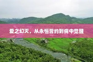 爱之幻灭，从永恒誓约到病中觉醒