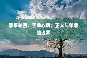 恶报轮回，手净心明：正义与慈悲的边界